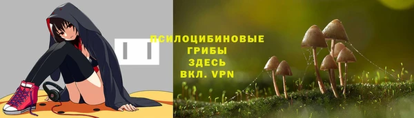 Альфа ПВП Абаза