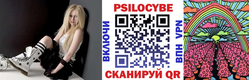 Псилоцибиновые грибы мицелий  Барыш 